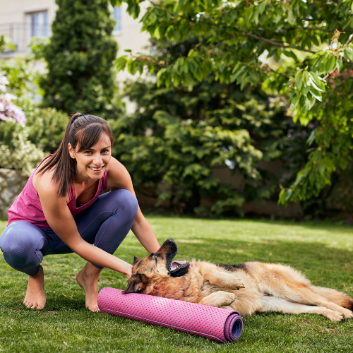 Dog Waste Removal